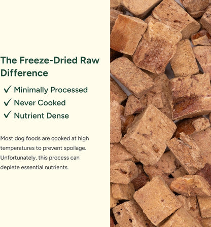 360 Pet Nutrition Freeze-Dried Raw Bison Liver Dog Treats – Single Ingredient, High Protein, Grain-Free, All-Natural Training Snacks, Made in USA, 4 oz