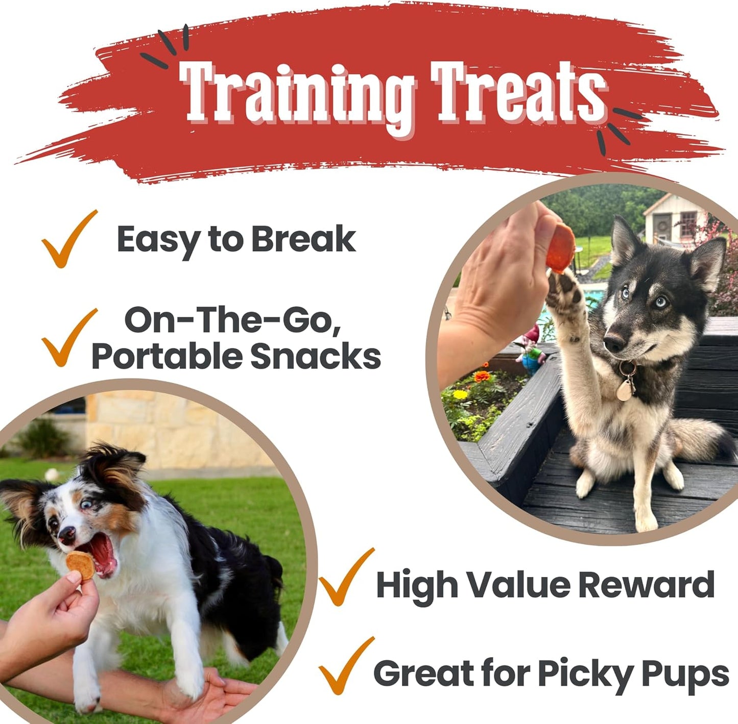 Farm To Pet - Dog Training Treats - Chicken, Turkey, Beef and Fish Chip Protein Variety Pack - 100% All Natural, Single Ingredient Training Treats for Small, Medium, and Large Dogs - Made in USA