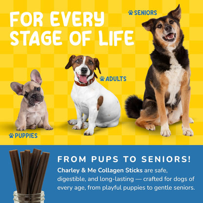 CHARLEY & ME Premium Collagen Sticks for Dogs - Long Lasting Dog Treats, Free Dog Chew Sticks - Hip & Joint Support, Healthy Skin, Shiny Coat - 100% Natural Beef - 6 Inches (Pack of 12)