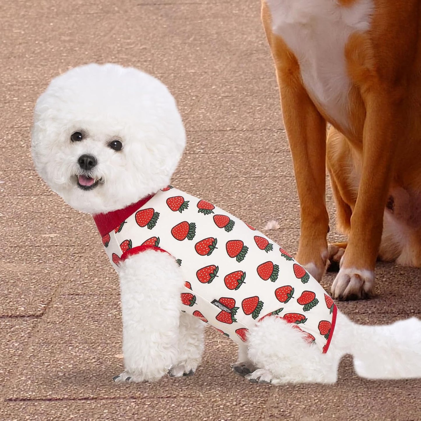 2 Packs Pet Dog Recovery Suit, Puppy After Surgery Onesie for Female Male Dogs, Dogs Cats, Dog Abdominal Wounds Bandages Cone E-Collar Alternative (XL,Pink)