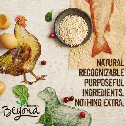 Purina Beyond Chicken, Carrot and Pea Ground Grain Free Wet Dog Food Natural Pate with Added Vitamins and Minerals - (Pack of 12) 13 oz. Cans