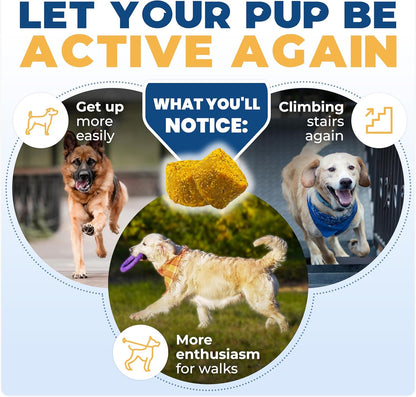 Jope Hip & Joint Supplement for Dogs Large, Medium, Small - Joint Chews w/UC-II® Collagen - Proven Better Than Glucosamine Chondroitin in Canine Health - Veterinarian Formulated, Omega 3 & Curcumin