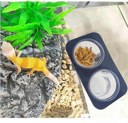 100 pcs 0.5oz Crested Gecko Food and Water Feeding Cups, with 2 Feeding Bottle, Reptile Feeder Bowls, for Lizard and Other Small Pet Ledge Accessories Supplies