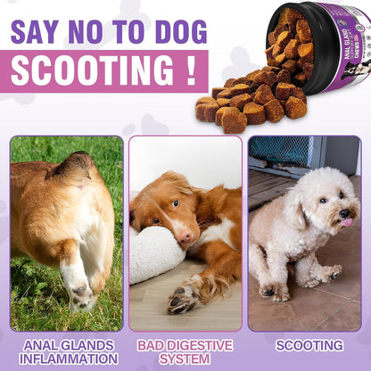 Dog Anal Gland Soft Chews 150 Stop Scoot for Dogs Supports Anal Gland Bowel Function Digestive Health Fiber Pumpkin Supplement for Dogs Pet Diarrhea Bowel Support Probiotics Digestive (Liver Flavor)