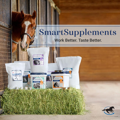 Starter SmartPak | Horse Joint Support | Probiotics, Prebiotics | Essential Vitamins, Minerals, and 5000 mg + SmartDigest Ultra Paste | Digestive Health and Support Horse Supplement | Pack of 6 Tubes