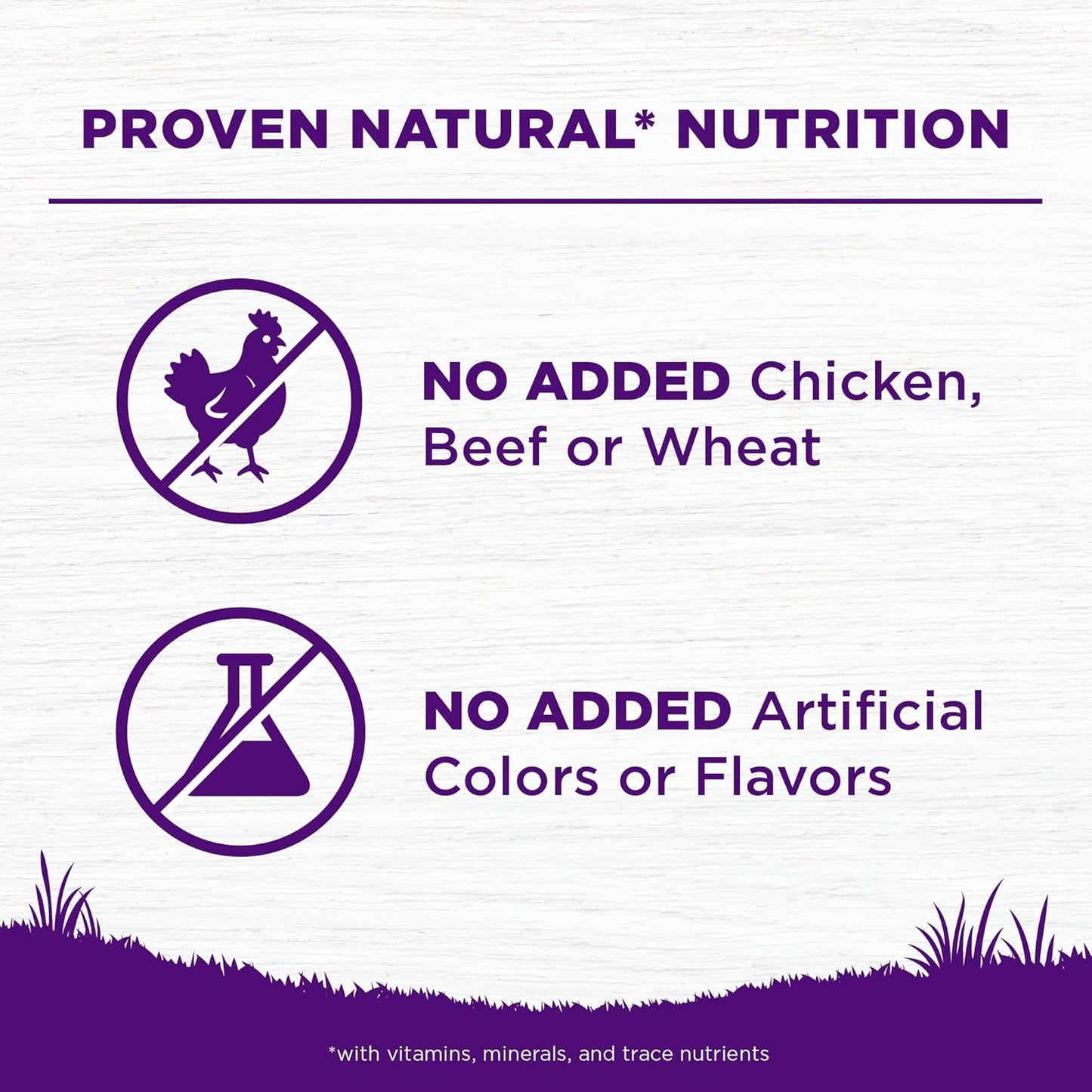 Wellness Complete Health Sensitive Skin & Stomach Dry Dog Food, Wholesome Grains, Natural, Salmon & Rice Recipe, (5-Pound Bag)