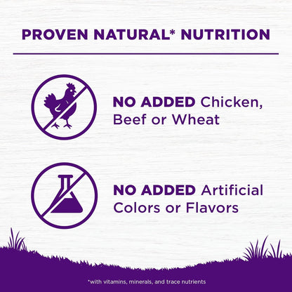 Wellness Complete Health Sensitive Skin & Stomach Dry Dog Food, Wholesome Grains, Natural, Salmon & Rice Recipe, (5-Pound Bag)