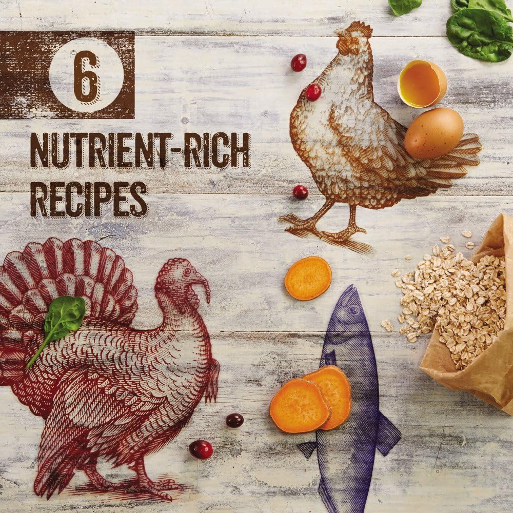 Purina Beyond Natural Wholesome Ingredients for Whole Health Dry Cat Food Salmon and Whole Brown Rice Recipe - 6 lb. Bag