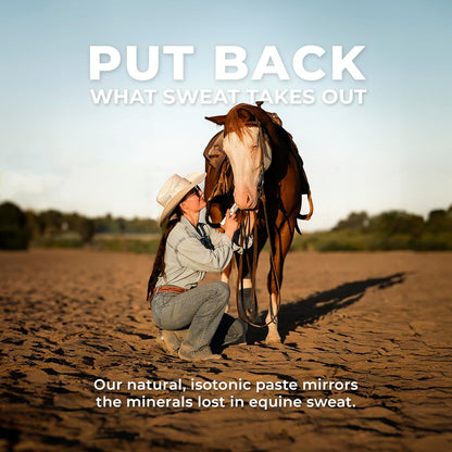 Redmond IsoBalance Horse Electrolyte Paste, Equine Performance and Mineral Rich Hydration Formula