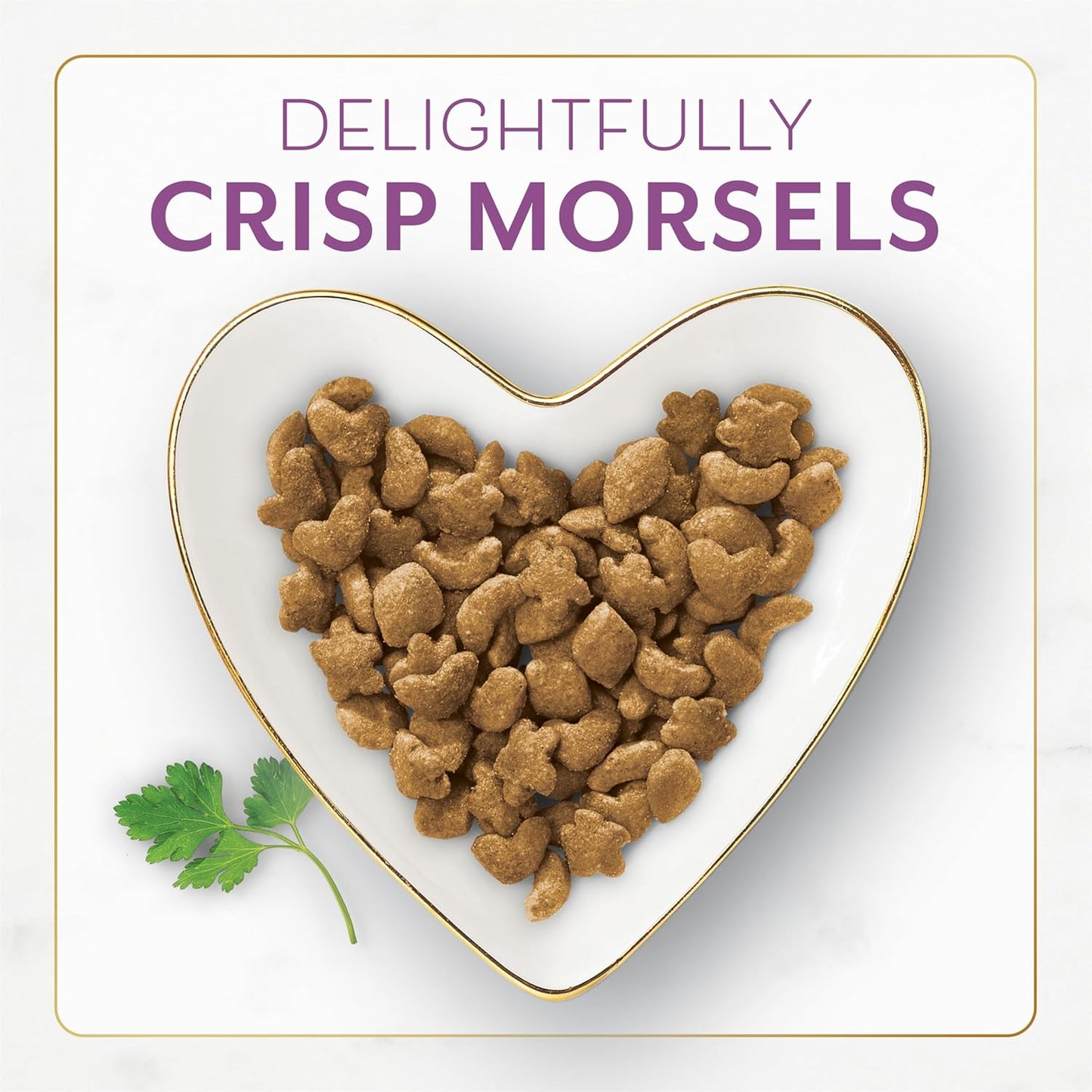 Purina Fancy Feast Dry Cat Food with Savory Farm-Raised Chicken and Turkey - 3 lb. Bag