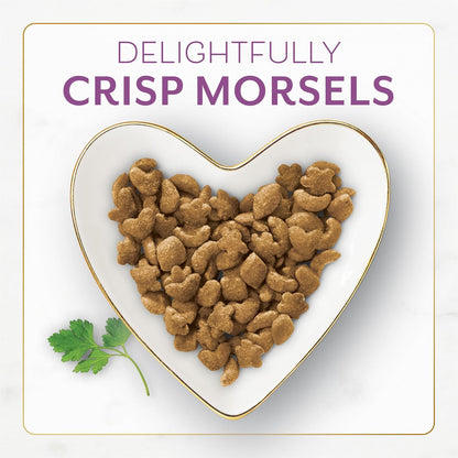 Purina Fancy Feast Dry Cat Food with Savory Farm-Raised Chicken and Turkey - 3 lb. Bag