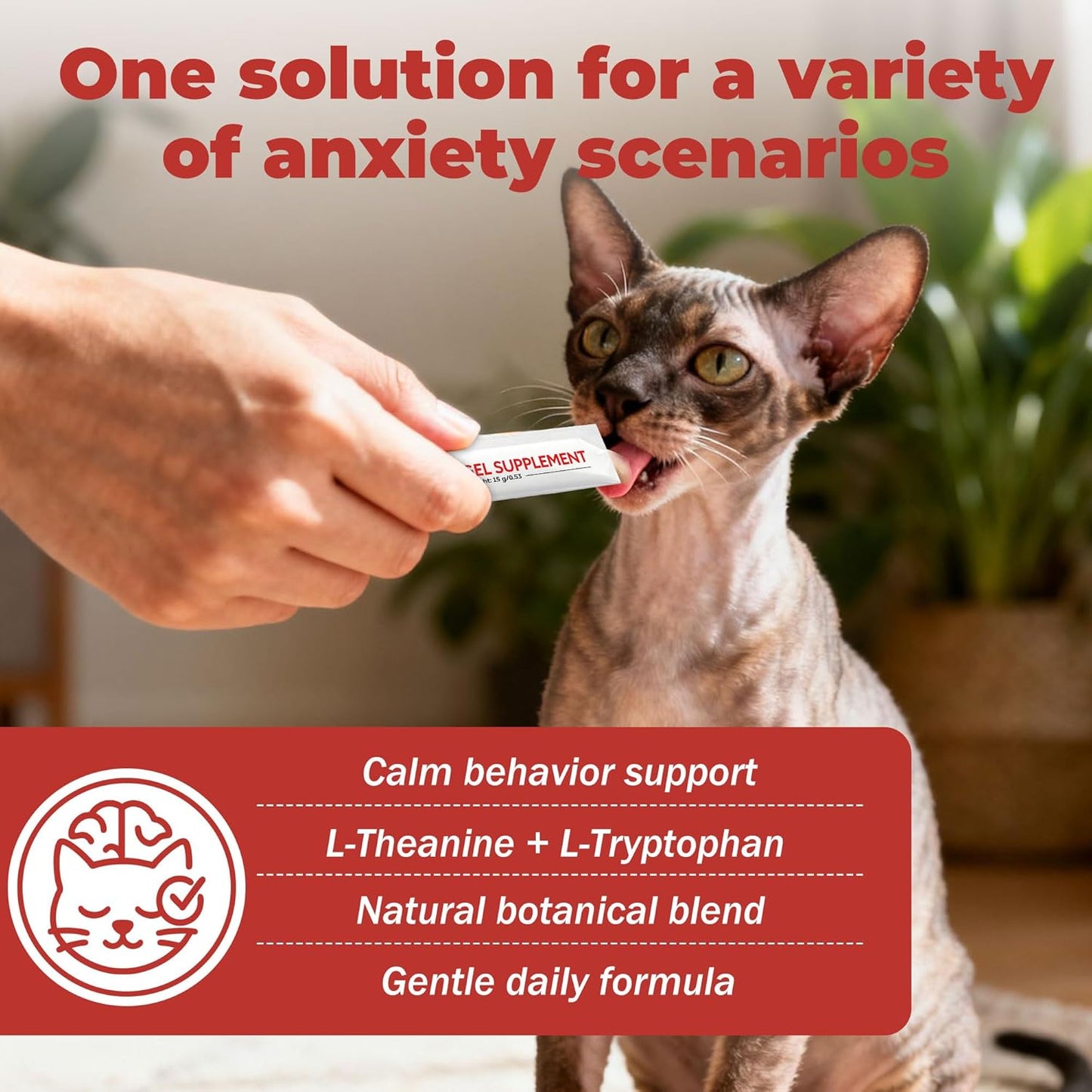 Cat Relief Treats – L-Theanine + L-Tryptophan | Lickable, Relieves Anxiety and Stress in Cats | Sleep and Relaxation Supplement | On-The-Go - 30 Tablets, Vet-Formulated, Made in The USA