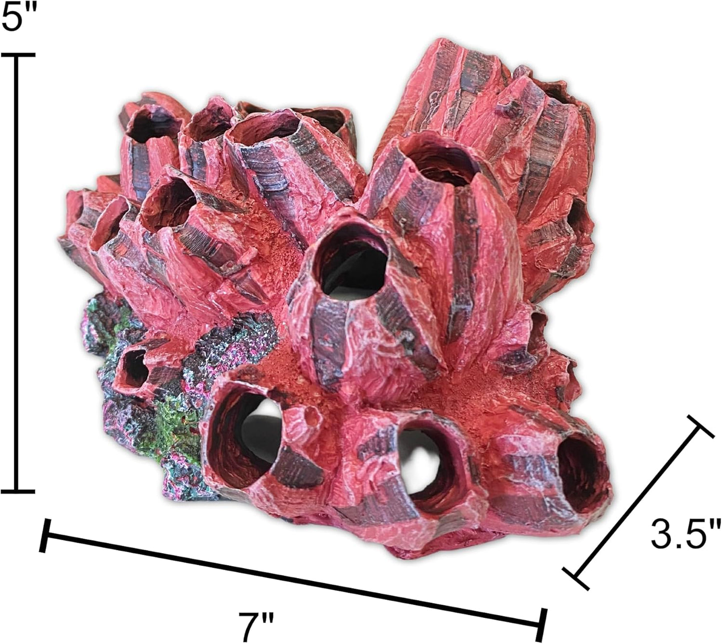 Coral Ornament for Fresh & Saltwater Aquariums, Resin Vibrant Realistic Red & Dark Red Barnicals on Model Rock - 7" x 3.5" x 5"