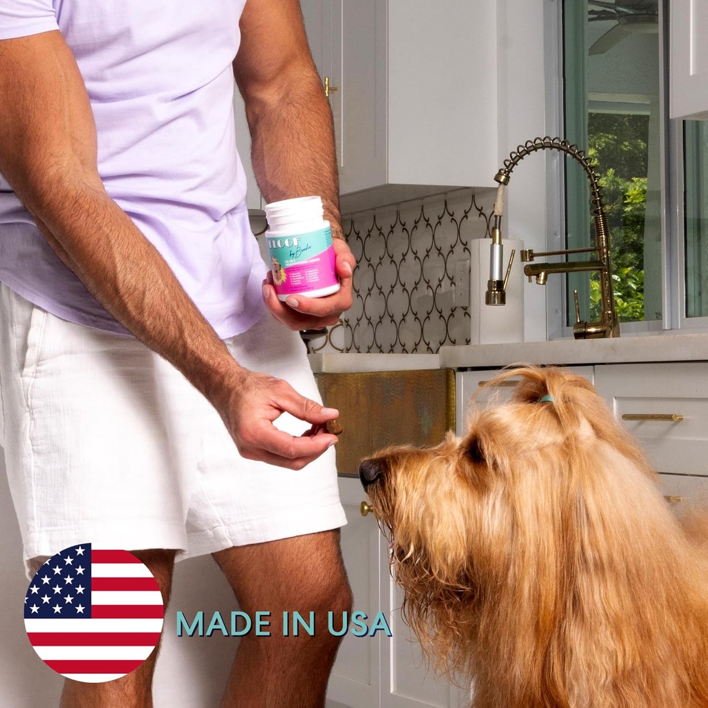 Floof by Brodie 10-in-1 Multivitamin Supplement: Dog and Puppy Vitamin with Joint Health Support MSM and Glucosamine HCL, Heart Health Coenzyme Q10, Probiotics, Collagen, Biotin - 60 Chews (6.35 oz)