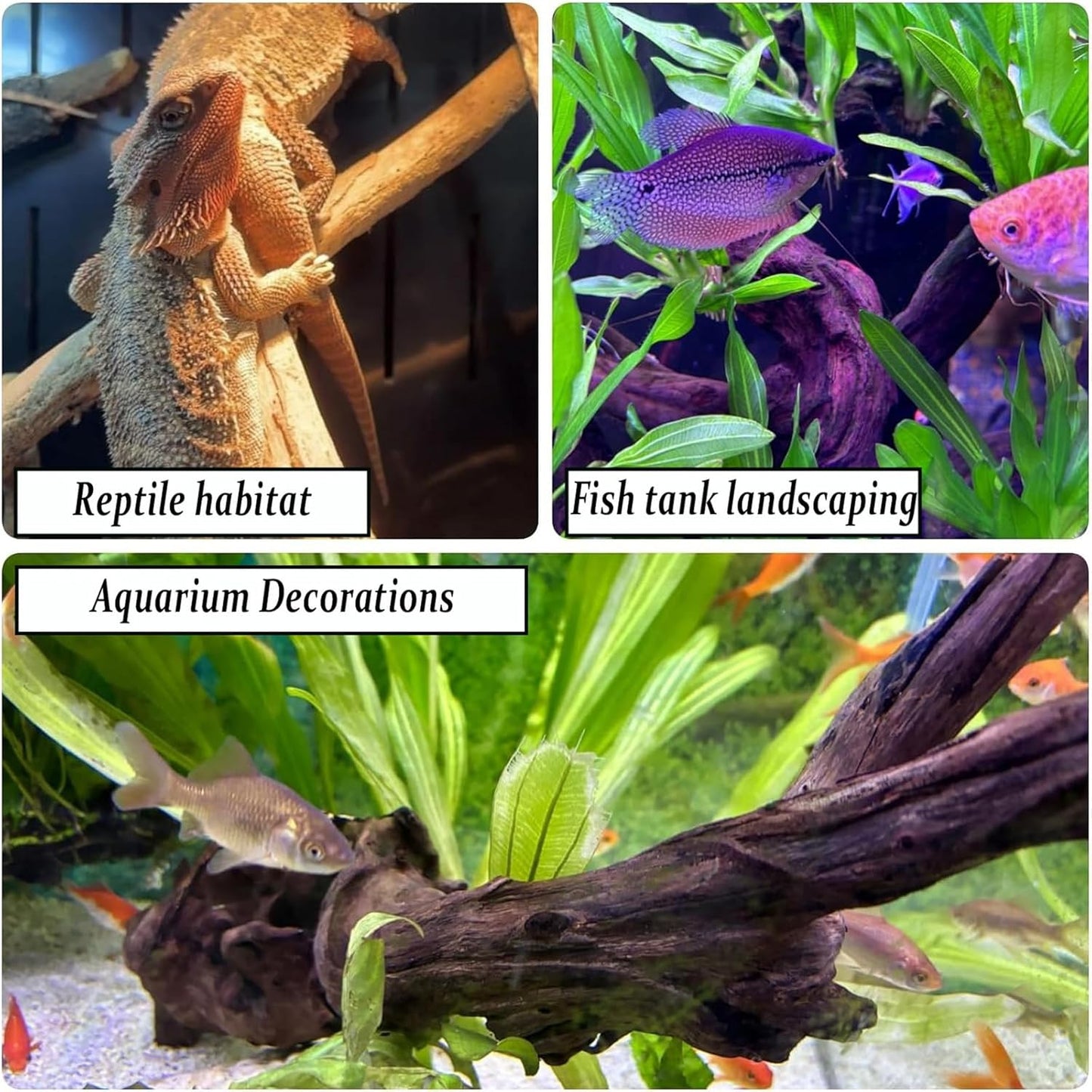 Natural Aquarium Decoration Driftwood Tree Trunk with Rockery View, Unique Dead Wood Root Hideouts for Fish & Reptiles, Landscape Enhancer (Random Shape, 10-15cm Length)