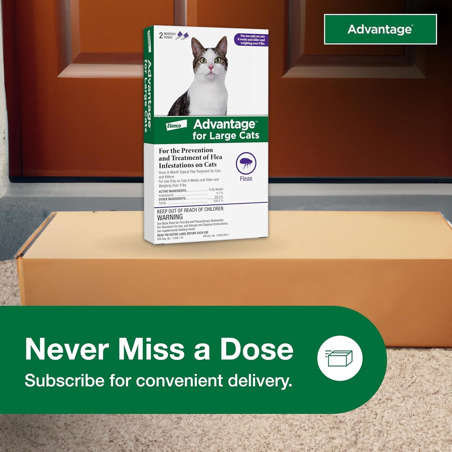 Advantage Topical Cat Flea Treatment and Prevention for Large Cats Over 9 lbs. | Apply Flea Drops Monthly | 2 Treatments