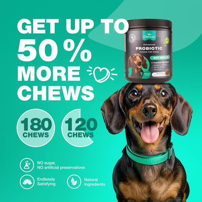 Dog Probiotic Chews with Digestive Enzymes - Probiotics for Dogs, Yeast Powder, Gut Health, Digestion, Immunity, Yeast Balance, Allergies Support - Gut Flora - All Breeds Canine Soft Chews