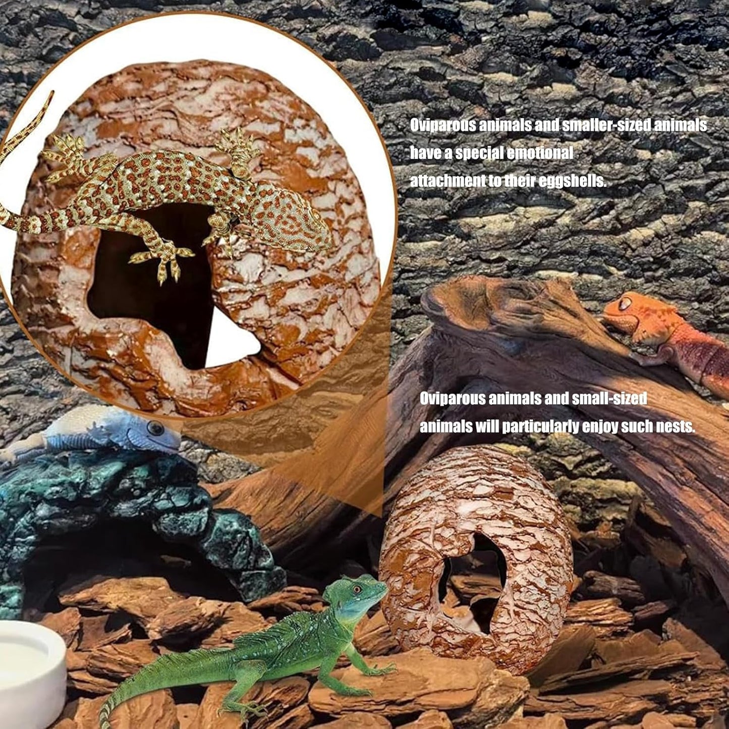 Low Maintenance Reptiles Habitat Upgrade Dinosaur Hide Cave with Textured Exterior Terrarium Stress Relief Decor Hot Swappable Terrariums Addons