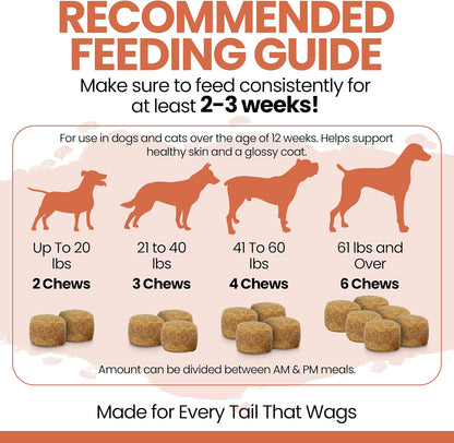 Salmon Oil for Dogs - Soft Chew Omega Treats for Skin and Coat - Fish Oil Blend of Essential Fatty Acids, Omega 3 and 6, Vitamins, Antioxidants and Minerals - Made in USA (180 Chews, Salmon)