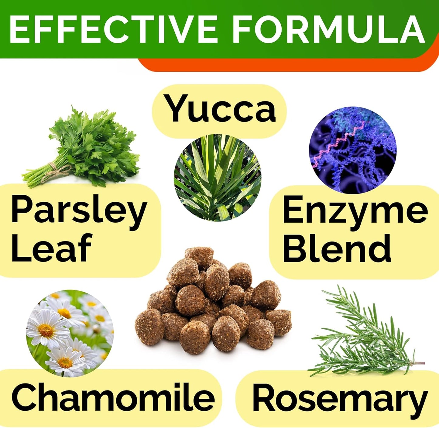 No Poo + Pumpkin for Dogs Bundle - Coprophagia Stool Eating Deterrent + Upset Stomach - Probiotics&Digestive Enzymes + Pure Pumpkin Powder - Stop Eating Poop + Digestion - 120ct + 8.1oz - Made in USA