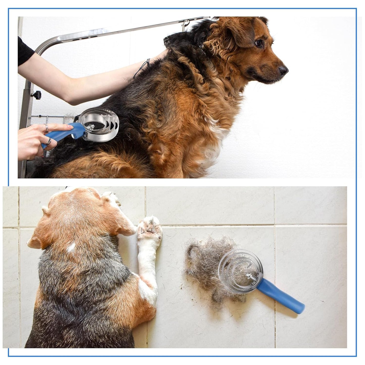 Tanlade 8 Pack 4 Rings Curry Comb Horse Brush Metal Curry Brush Derby Party Supplies Reversible Stainless Steel Curry Comb Scraper with Comfortable Grip for Cow Sheep Pet Dog Goat Horse, Blue