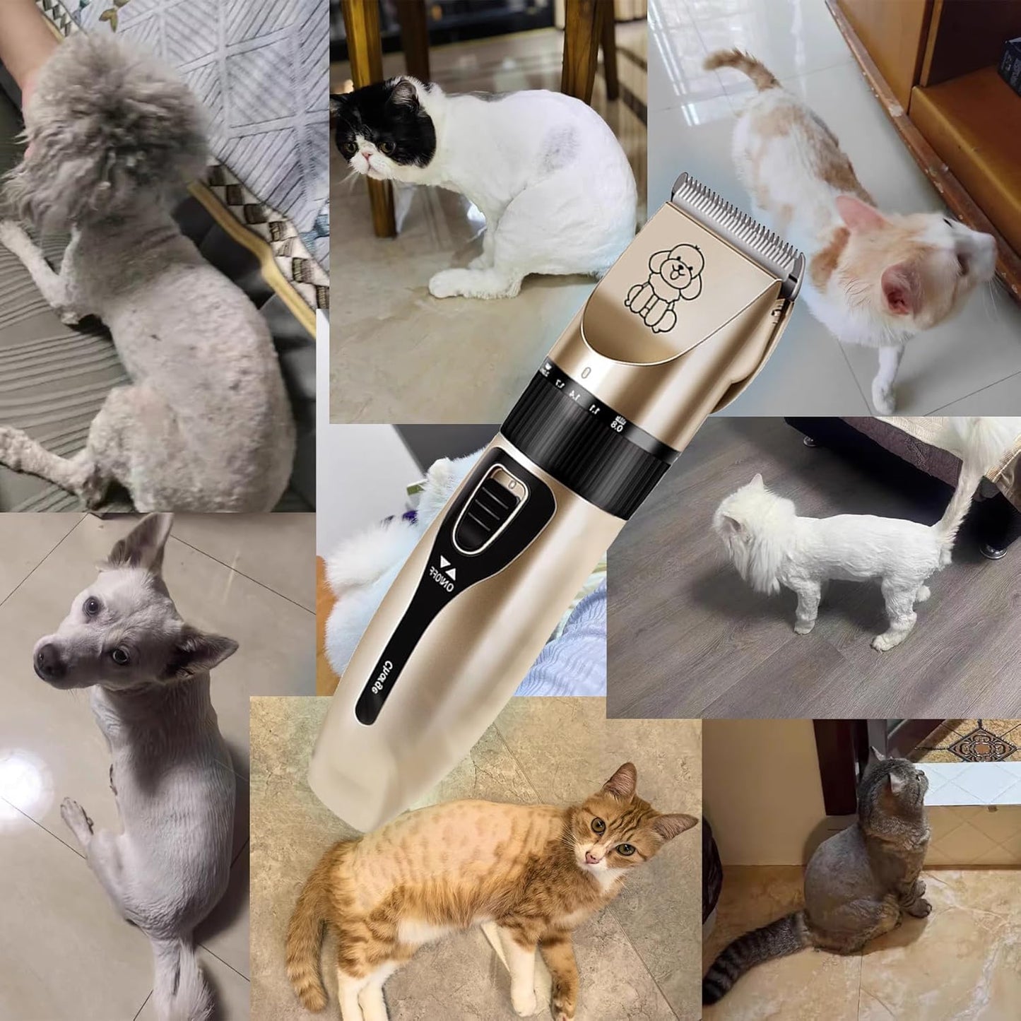 Dog Clipper Low Noise, Rechargeable Cordless Dog Hair Trimmer, Electric Pet Shaver, Paw Trimmer for Dogs Cats