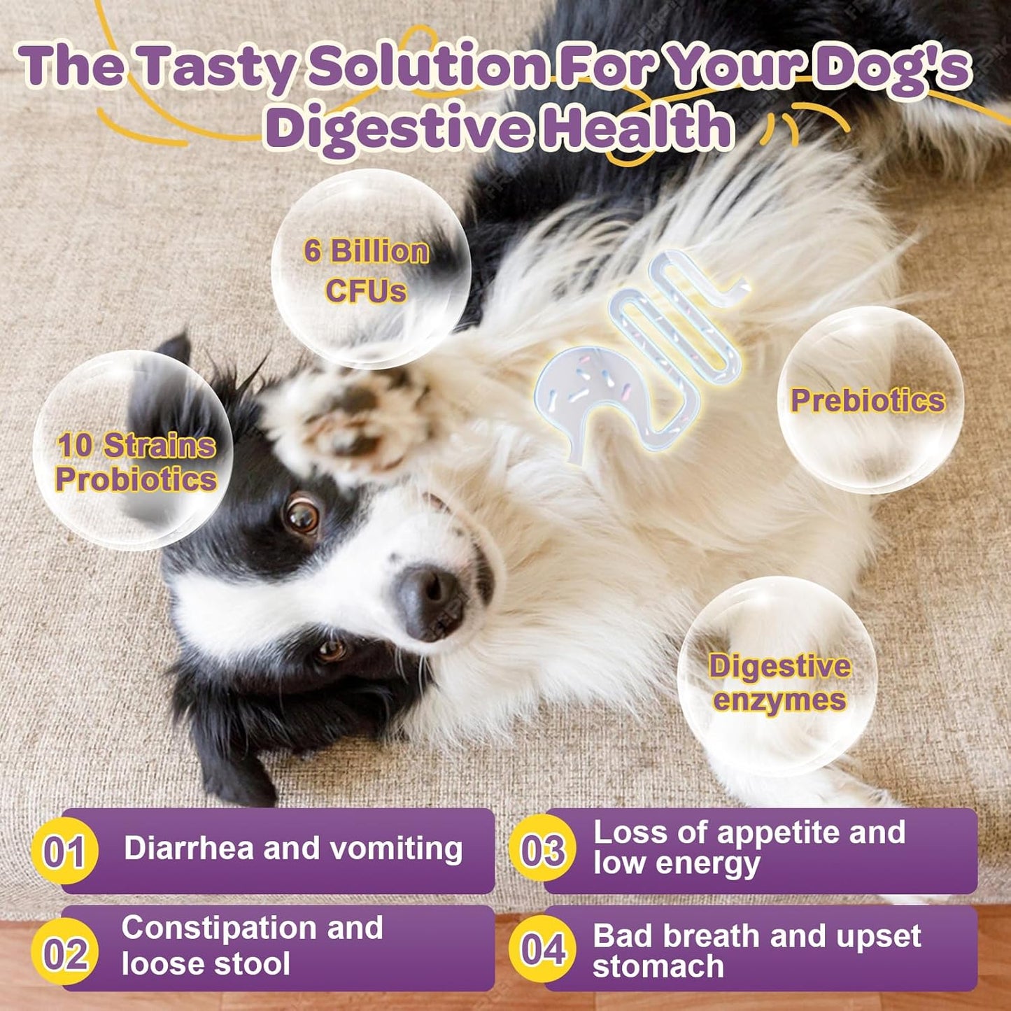 ZEBORA Probiotics for Dogs – 6 Billion CFUs & 10 Strains with Prebiotics, Omega 3 Fish Oil for Dogs Skin and Coat