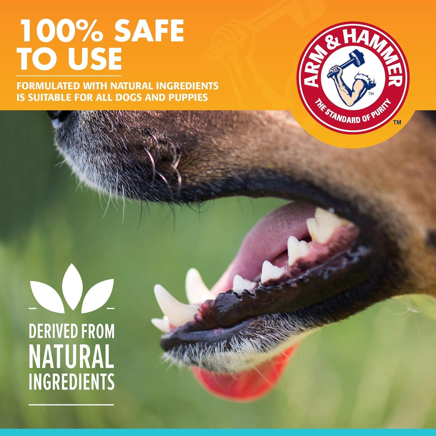Arm & Hammer for Pets Dental Enzymatic Toothpaste for Dogs | No More Doggie Breath | Dog Toothpaste Safe for All Dogs and Puppies, Advanced Care, Chicken Flavor 2.5 Ounce (Pack of 2)