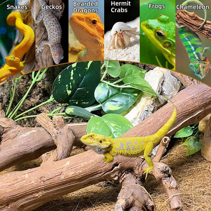 kathson 2PCS Snake Climbing Branch,Reptile Wood Branches Decor, Lizard Natural Wood Climb Accessories,Reptiles Habitat Tank Tree Trunk Decorations for Bearded Dragon Geckos Chameleons Frog