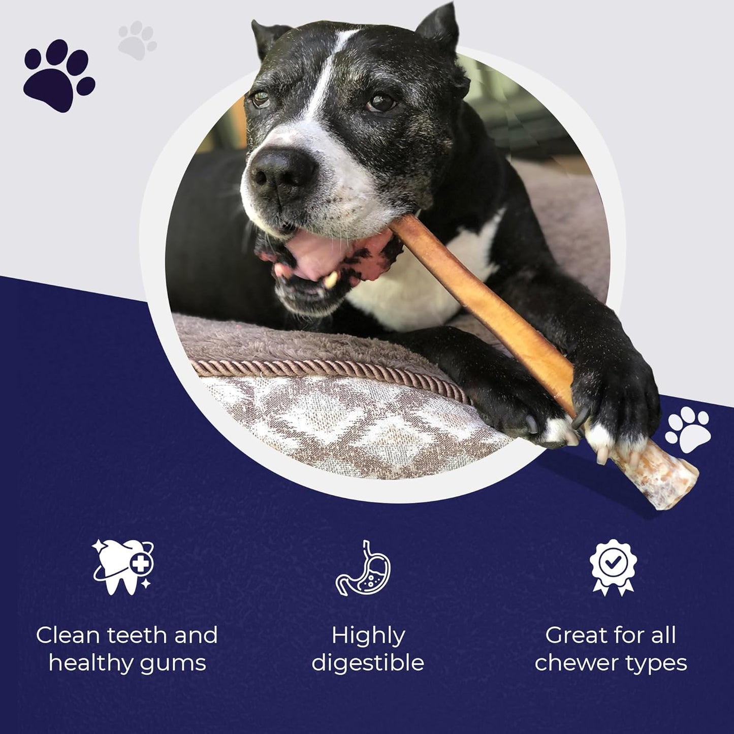 Devil Dog Pet Co. Jumbo Bully Sticks – 12 Inch, 3 Pack Dog Chews, 100% Natural, Single Ingredient, Free-Range Grass-Fed Beef – Long Lasting, Rawhide-Free Treats for Dogs