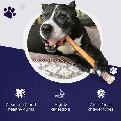 Devil Dog Pet Co. Jumbo Bully Sticks – 12 Inch, 3 Pack Dog Chews, 100% Natural, Single Ingredient, Free-Range Grass-Fed Beef – Long Lasting, Rawhide-Free Treats for Dogs