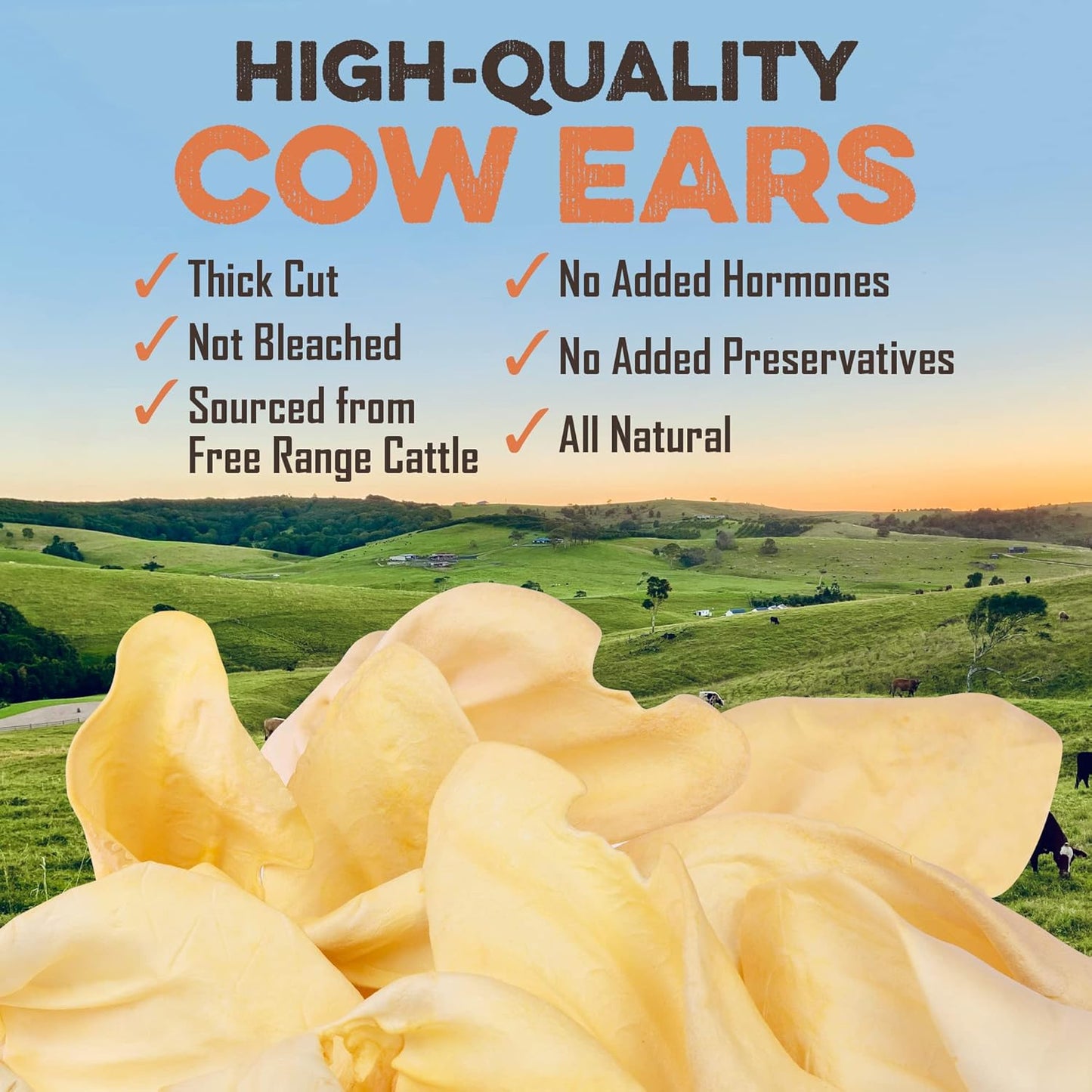 BRUTUS & BARNABY 12 Cow Ears + 10 Pig Snouts