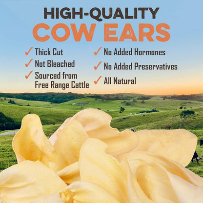 BRUTUS & BARNABY 12 Cow Ears + 10 Pig Snouts