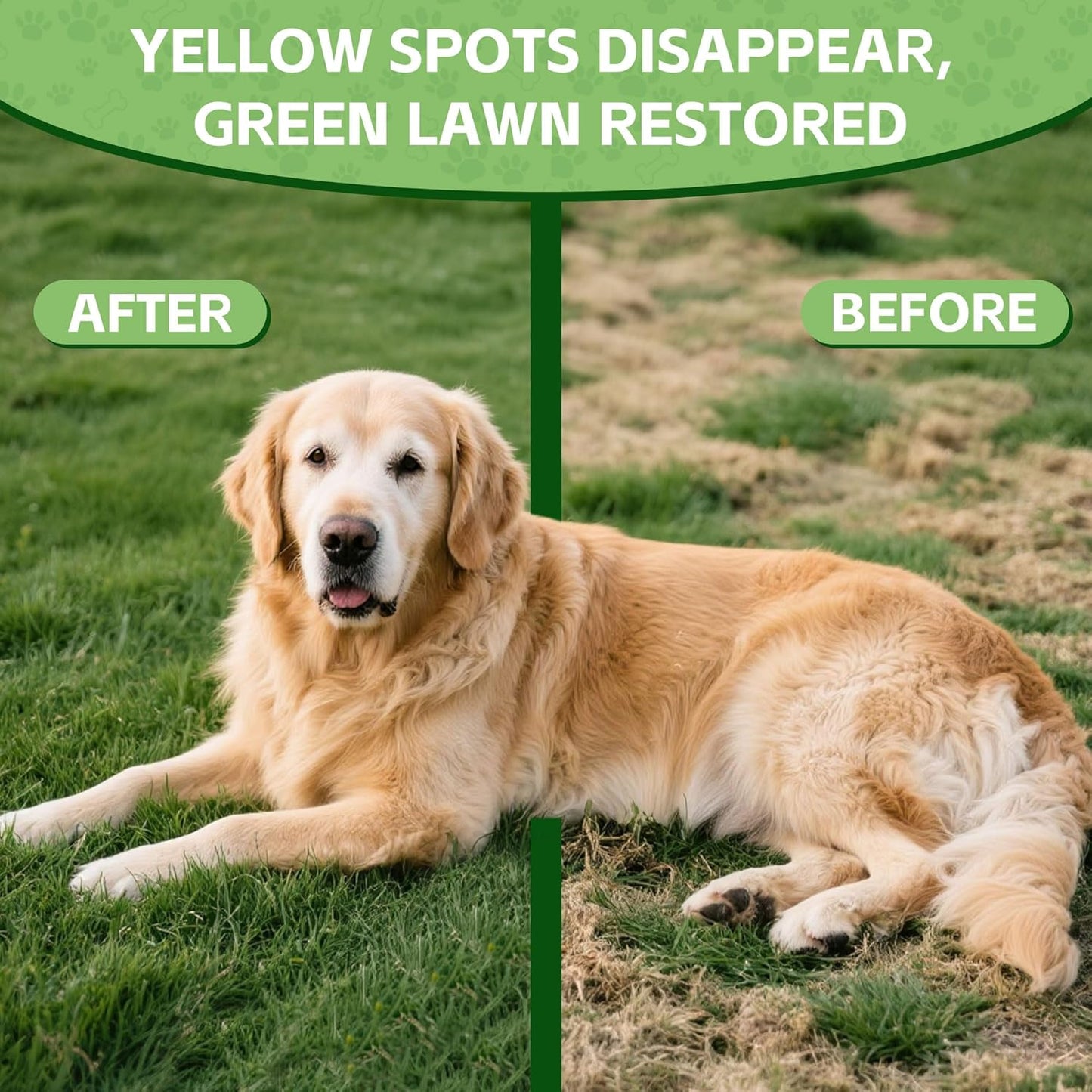 Dog Urine Neutralizer for Lawn -Methionine, Probiotics & Enzymes- - Helps Reduce Lawn Burn from Dog Urine, Supports Digestive and Urinary Health -Veterinarian Recommended- 60ml