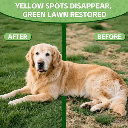 Dog Urine Neutralizer for Lawn -Methionine, Probiotics & Enzymes- - Helps Reduce Lawn Burn from Dog Urine, Supports Digestive and Urinary Health -Veterinarian Recommended- 60ml