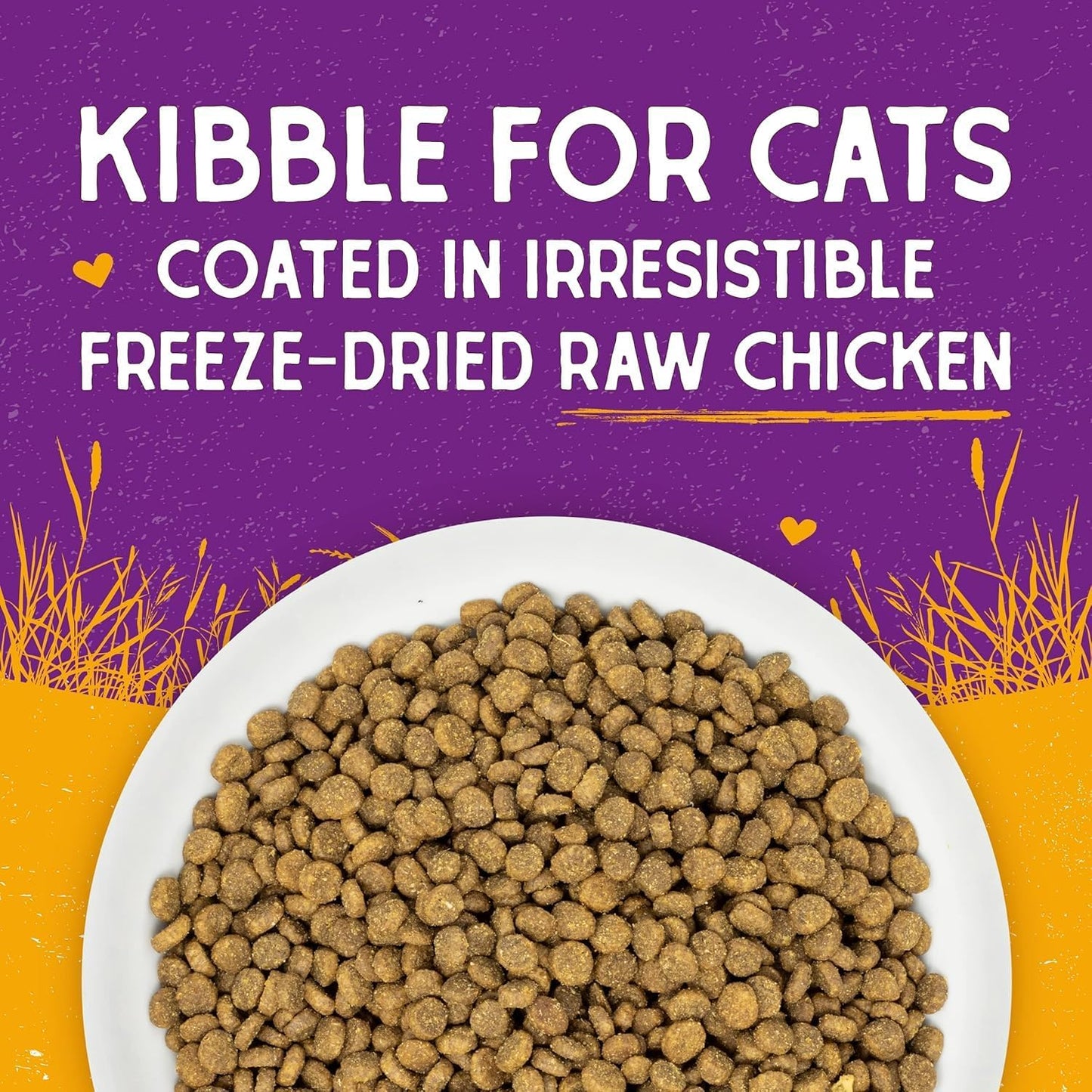 Stella & Chewy's Raw Coated Cat Food - High Protein, Grain-Free Kibble with Cage-Free Chicken - Premium Digestive Support with Probiotics - Natural Small Kibble - Perfect For Picky Eaters - 2.5lb Bag