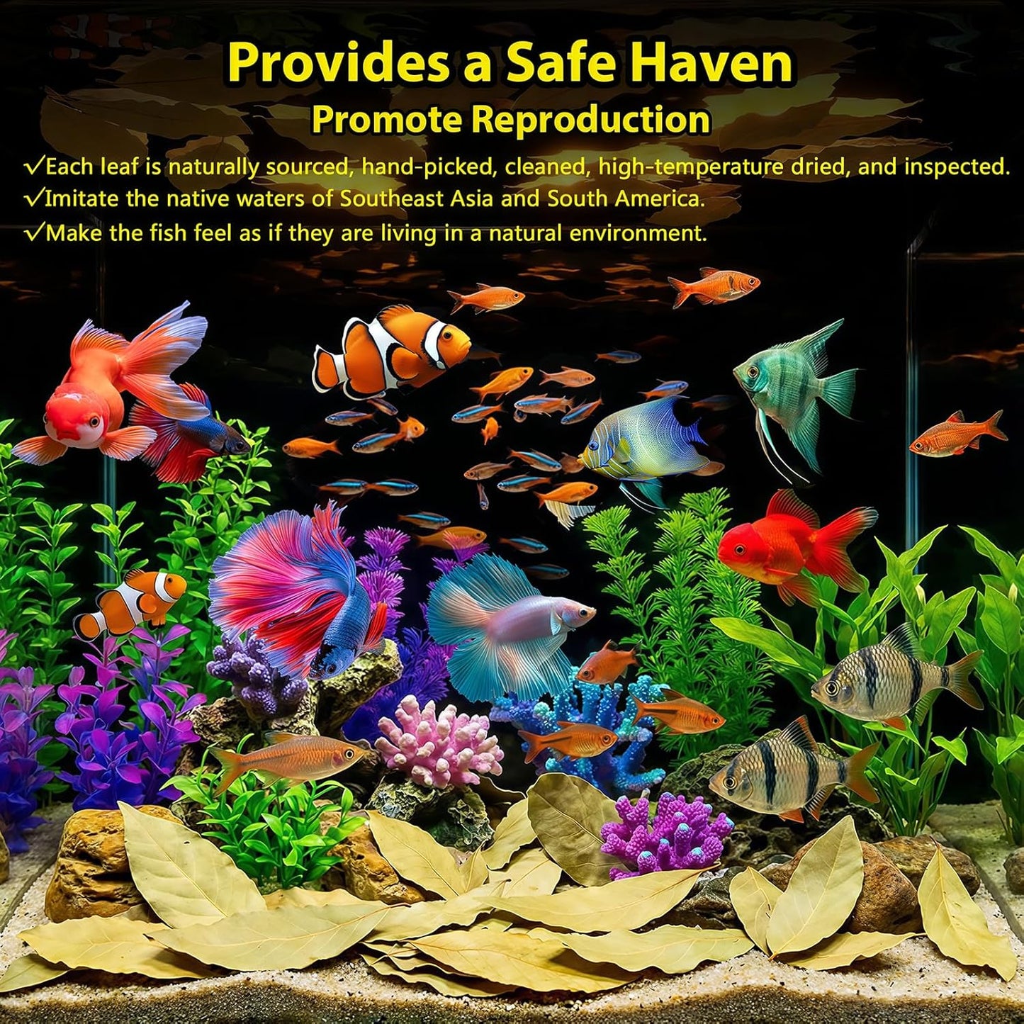 55+ Dried Longan Leaves (4-6 Inch) - Natural Terrarium Leaf Litter for Bioactive Setup, Isopods, Snakes, Frogs, Spiders, Betta Fish- Moisture Retention & Hiding Cover