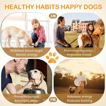 Dog Feeding Reminder Sign, Pet Feeding Tracker with Magnet, AM PM Daily Acrylic Slider Board for Fridge Wall Mounting, Plus Walking Reminder, Blue and Pink, 6.8" x 4.7" Pet Supplies