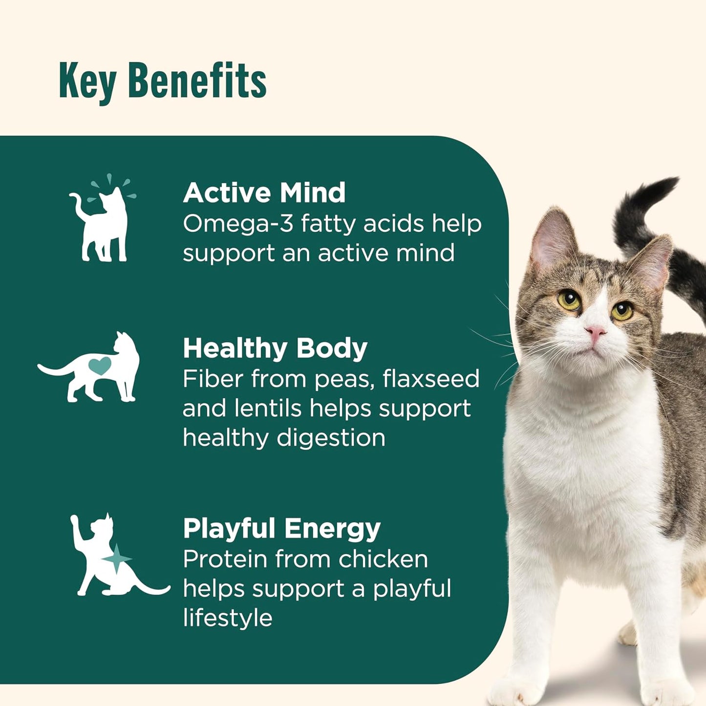 Nutrish Indoor Complete Premium Natural Dry Cat Food, Chicken with Lentils & Salmon Recipe, 14 Pounds (Packaging May Vary)