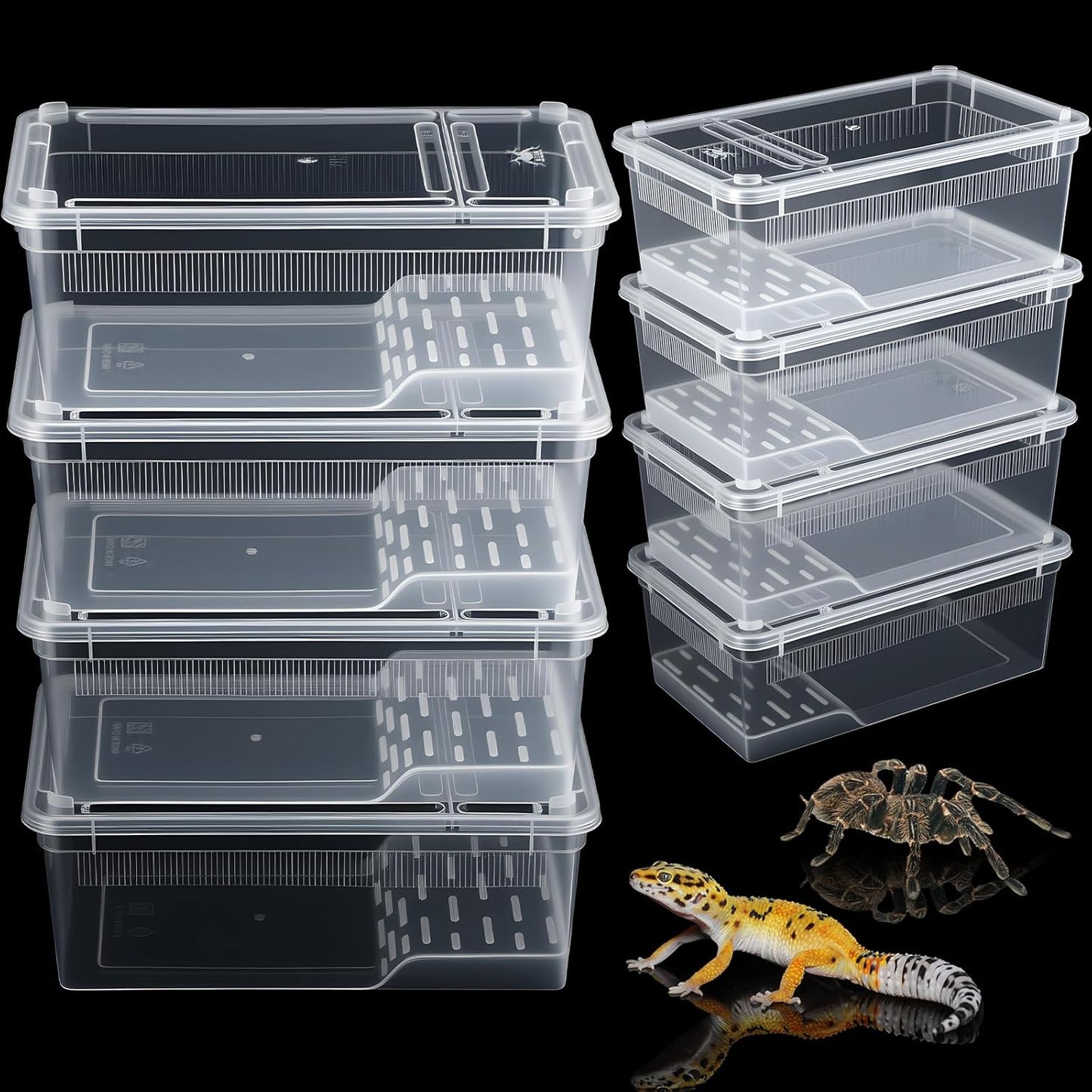 Irenare 8 Pcs Reptile Breeding Box Plastic Spider Terrarium Tarantula Feeding Box for Bearded Dragon Lizard Spider Gecko Scorpion (Vent Strips,Clear,8.6 x 5.1 x 3.1 Inch)