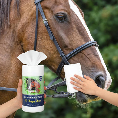 3 Pack Horse Bit Wipes 120 Pcs Peppermint Horse Bit Cleaners for Happy Horse Disposable Cleaning Wipes for English or Western Bits