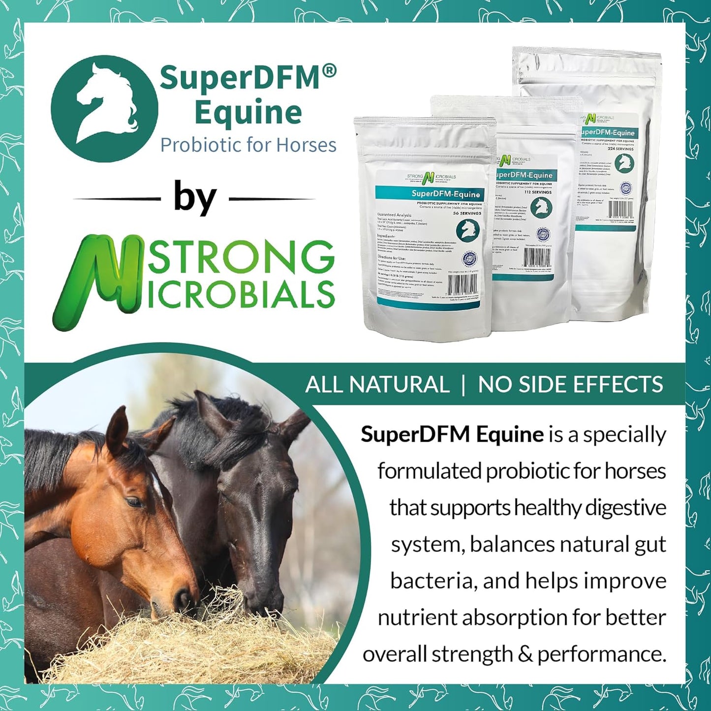 SuperDFM Equine Probiotics for Horses - All-Natural Horse Supplements to Support Gut Health & Nutrient Absorption - 1 lb (454 g) Approx. 224 Servings
