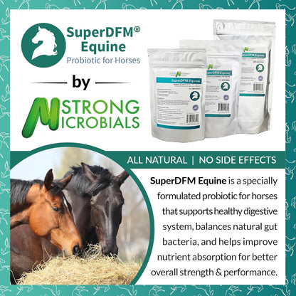 SuperDFM Equine Probiotics for Horses - All-Natural Horse Supplements to Support Gut Health & Nutrient Absorption - 1 lb (454 g) Approx. 224 Servings