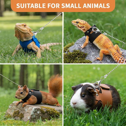 3 Pack Bearded Dragon Leash and Harness Set for Small Animals, 6.5FT Leash with 3 Sizes Adjustable Harness for Lizard Walking Adventure, Soft Vest Clothes for Squirrel Reptile Lovers -Black