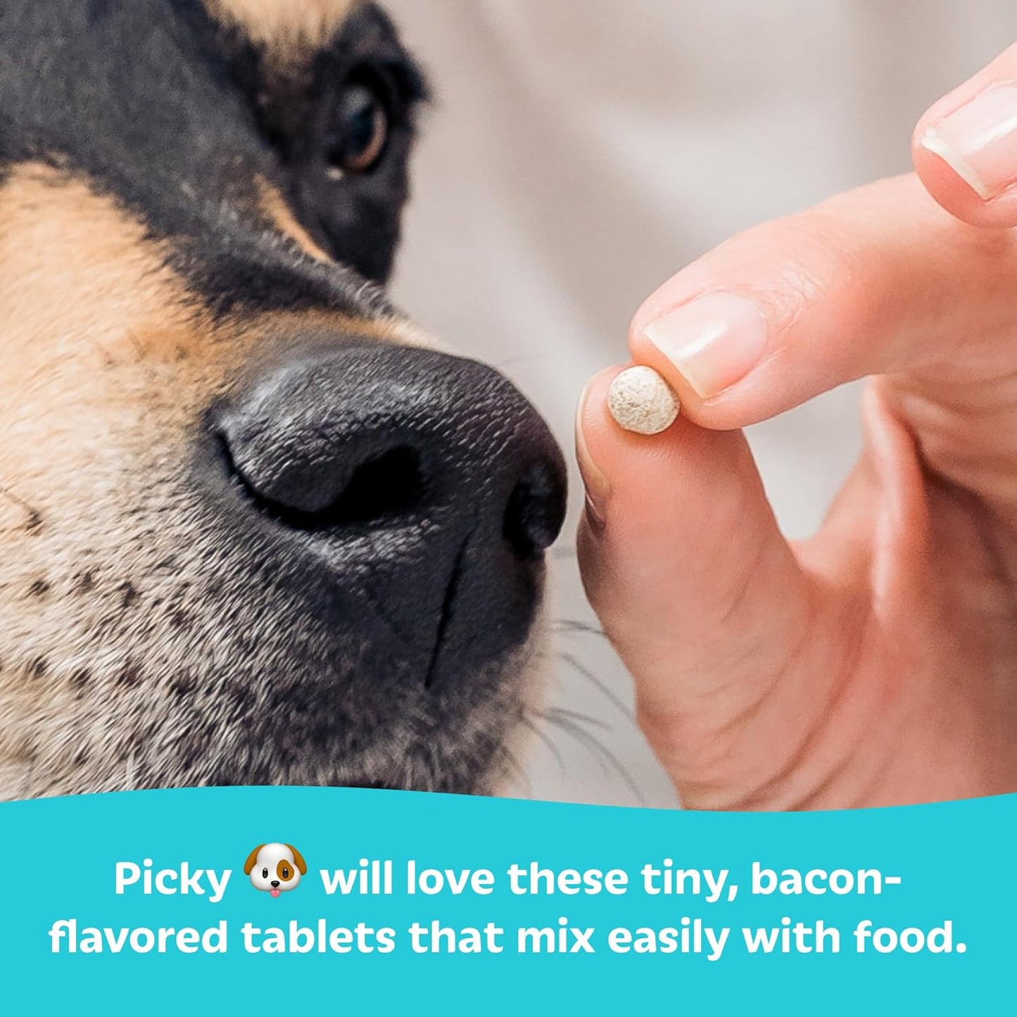 Tails ’N’ Tummies Probiotics for Dogs: 60 Tiny Tablets for Allergies, Itchy Skin, Diarrhea & Digestive Relief – Gentle, Clean Formula for Dogs