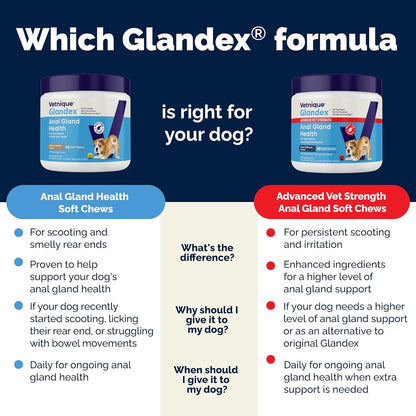 Vetnique Glandex Anal Gland Soft Chew Treats with Pumpkin for Dogs Digestive Enzymes, Probiotics Fiber Supplement for Dogs Boot The Scoot (Peanut Butter Chews, 60 Count)