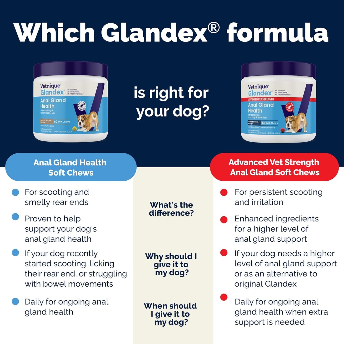 Vetnique Glandex Anal Gland Soft Chew Treats with Pumpkin for Dogs Digestive Enzymes, Probiotics Fiber Supplement for Dogs Boot The Scoot (Advanced Strength Duck/Bacon Chews (Vegetarian), 60 Ct)