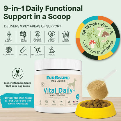 Dog Multivitamin Powder | 9-in-1 Whole Food Dog Vitamins and Dog Supplements That Supports Joint, Digestion, Skin & Coat, Immune, Cognition, Detox, Heart, Antioxidants (Cheesy Beef Flavor)