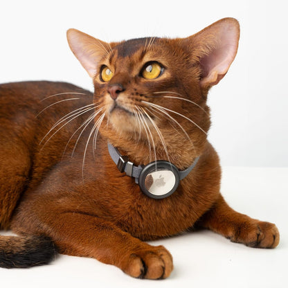 Safety Cat Collar Pro Airtag Holder Set, US IDA Gold Award Cat Collar with Snap, Non Breakaway Elastic Release Cat Airtag Collar Airtag Case for Small Medium Large Cats (Glacier Silver, S)