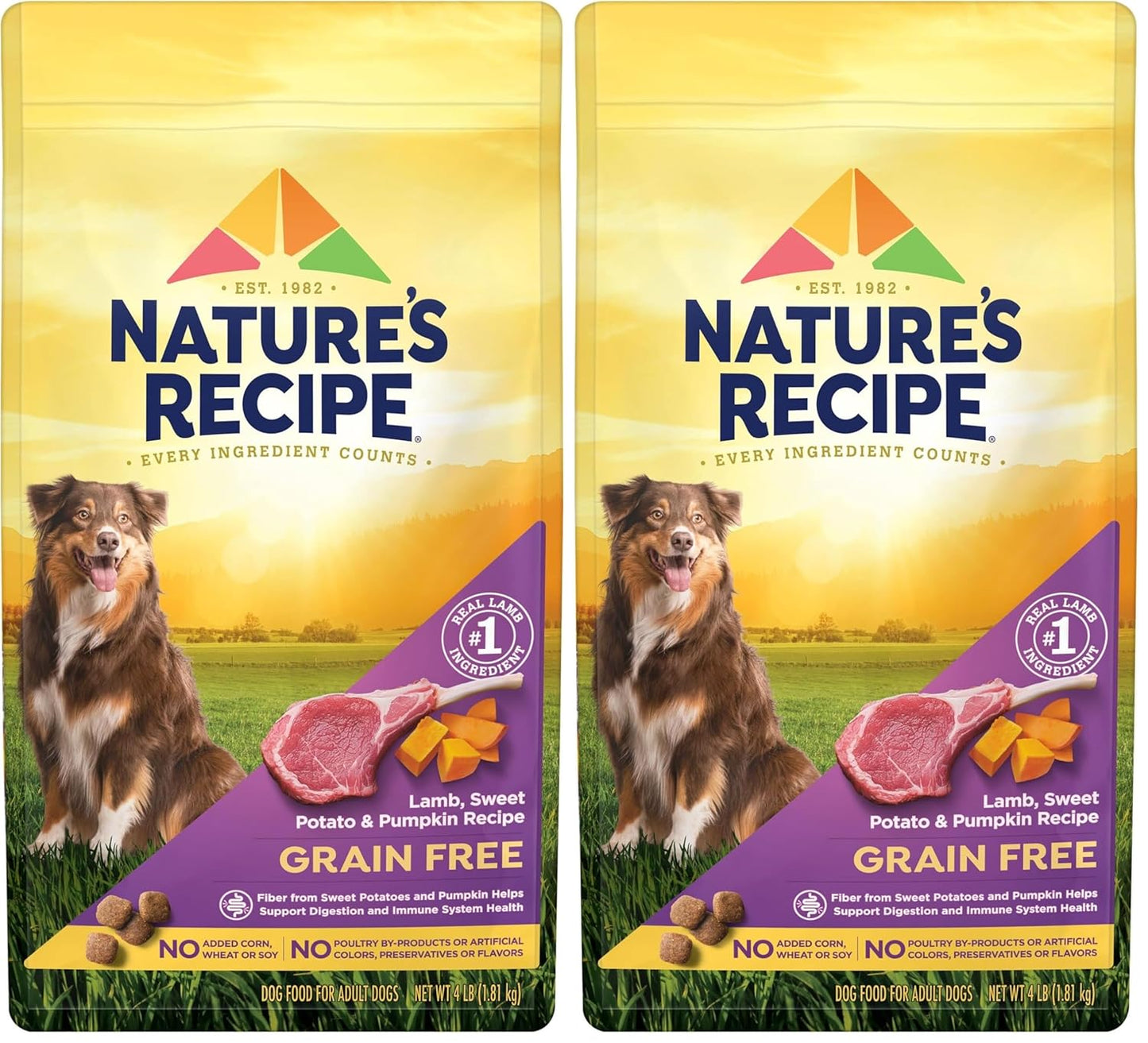 Nature′s Recipe Grain Free Lamb, Sweet Potato & Pumpkin Recipe Dry Dog Food, 4 lb. Bag (Pack of 2)